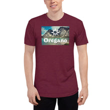 Load image into Gallery viewer, Unisex Tri-Blend Track Shirt